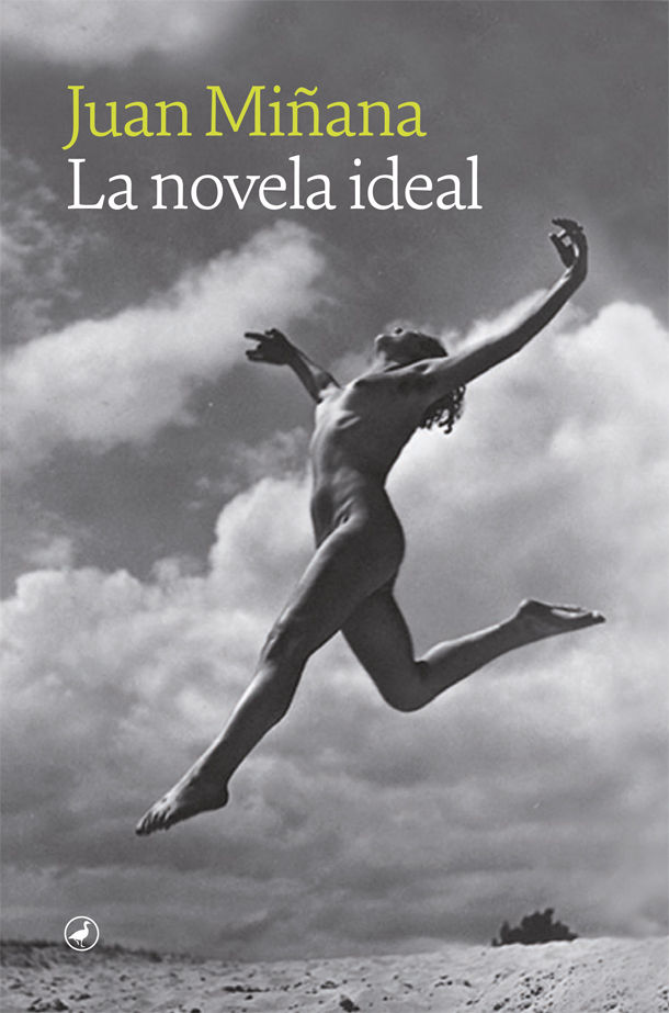 Portada de La novela ideal